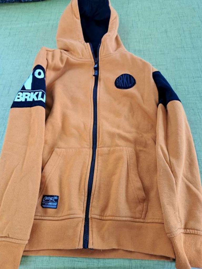 Pull maat 146/152, Ophalen of Verzenden, Gebruikt, Jongen, Trui of Vest