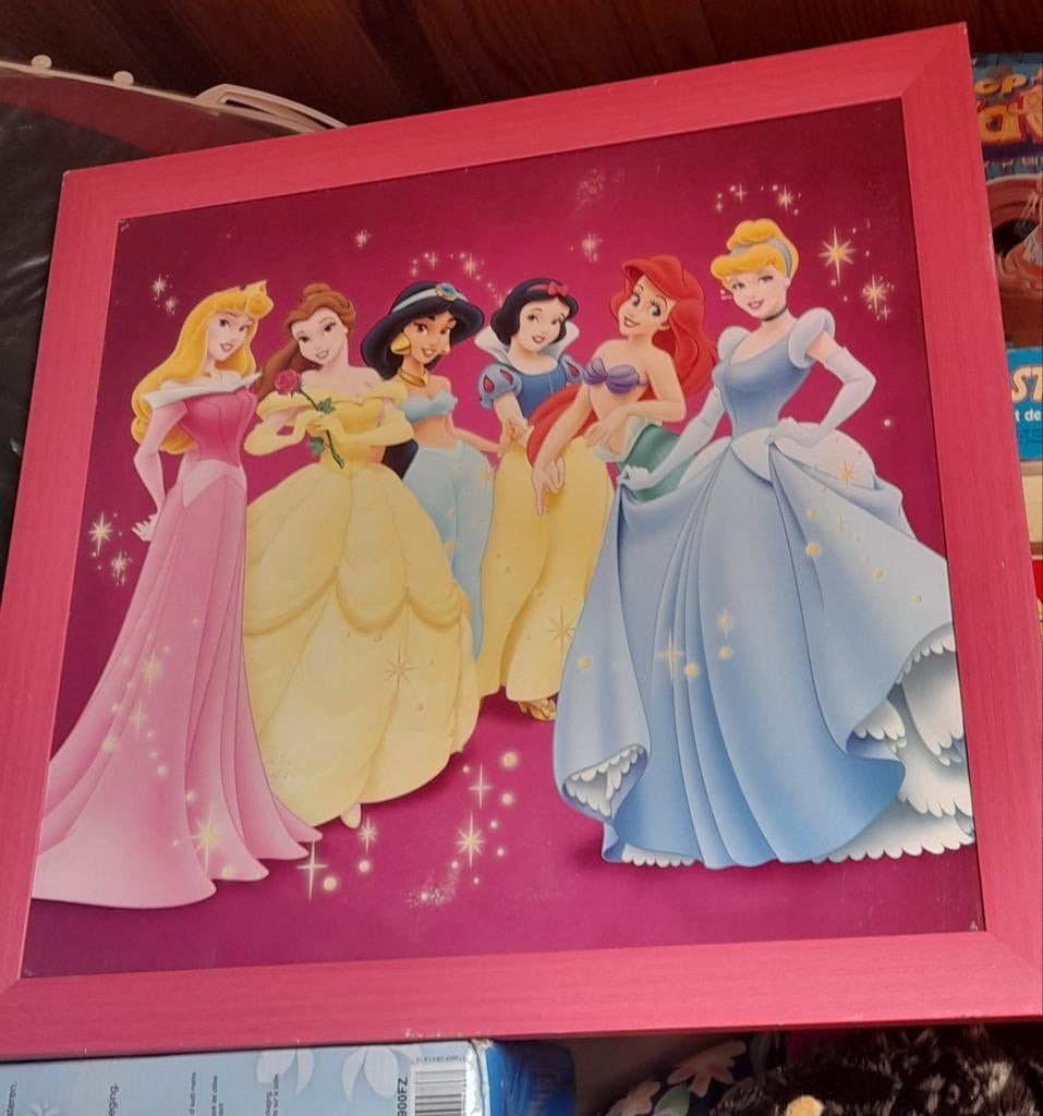 Disney Princessen kader, Ophalen of Verzenden, Zo goed als nieuw