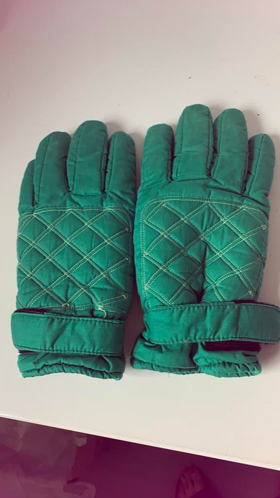 Skihandschoenen, Ophalen, Zo goed als nieuw