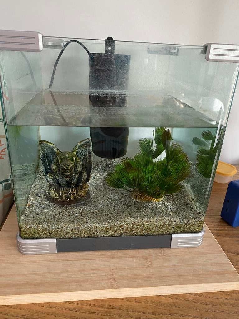Aquarium 30l + accessoires, Animaux & Accessoires, Enlèvement, Utilisé
