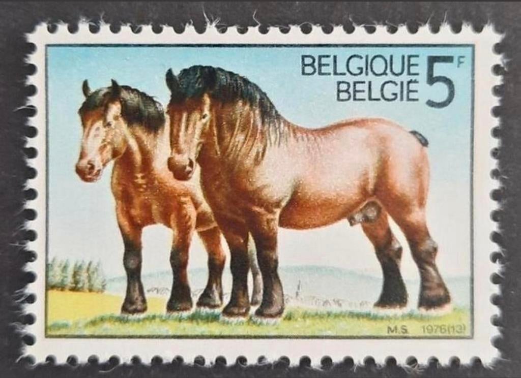 Belgique : OBP 1810 ** Cheval de Trait 1976., Sans timbre, Neuf, Enlèvement ou Envoi, Non oblitéré