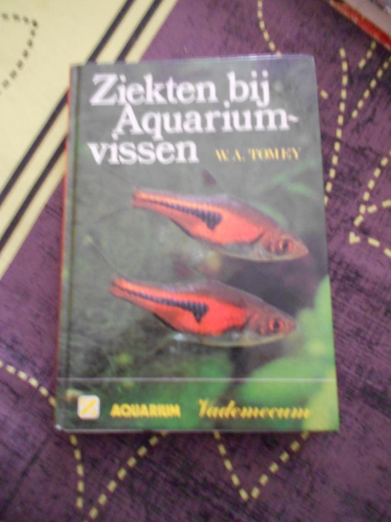 ziekten bij Aquaruim vissen boek, Boeken, Dieren en Huisdieren, Ophalen of Verzenden, Gelezen, Vissen, Vademecum