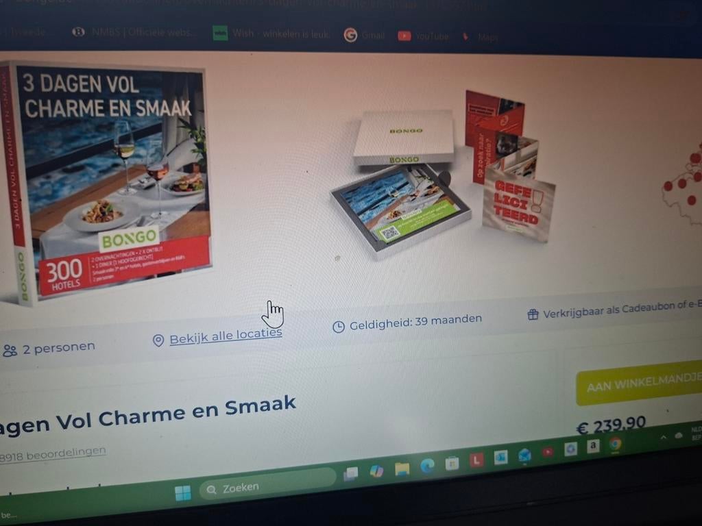 Bon Bongo d'une valeur de 239,90 euros, Envoi