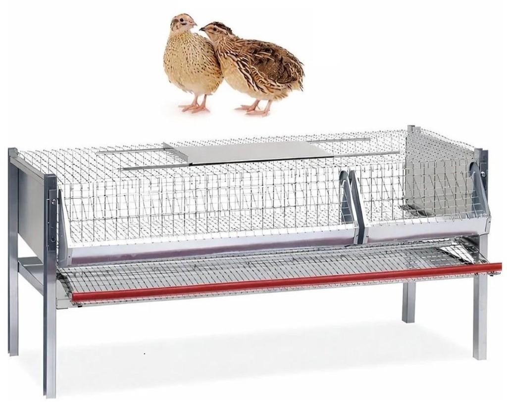 Kwartelkooien legkooi kwartels, Dieren en Toebehoren, Ophalen of Verzenden, Nieuw, Metaal, Broedkooi of Kweekkooi