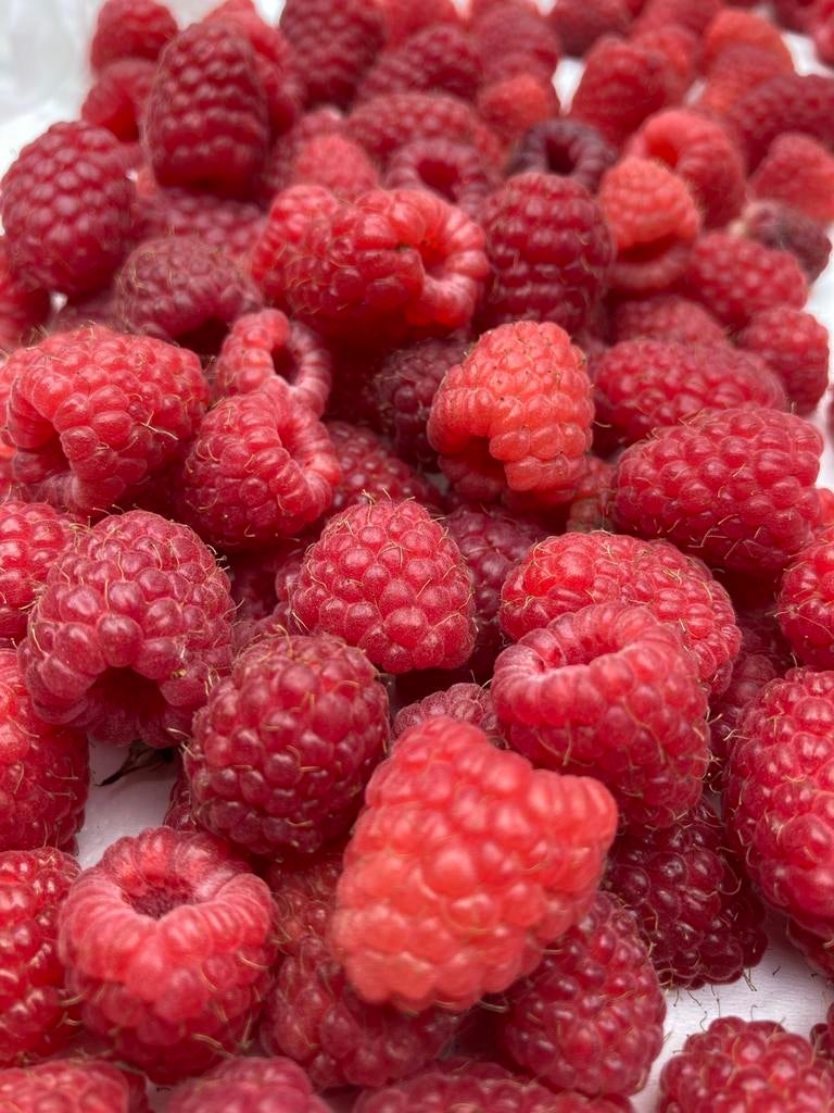 Zomerframbozen planten, Tuin en Terras, Ophalen