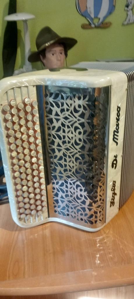 Accordéon, Ophalen, Met koffer, Knopaccordeon, 120-bas
