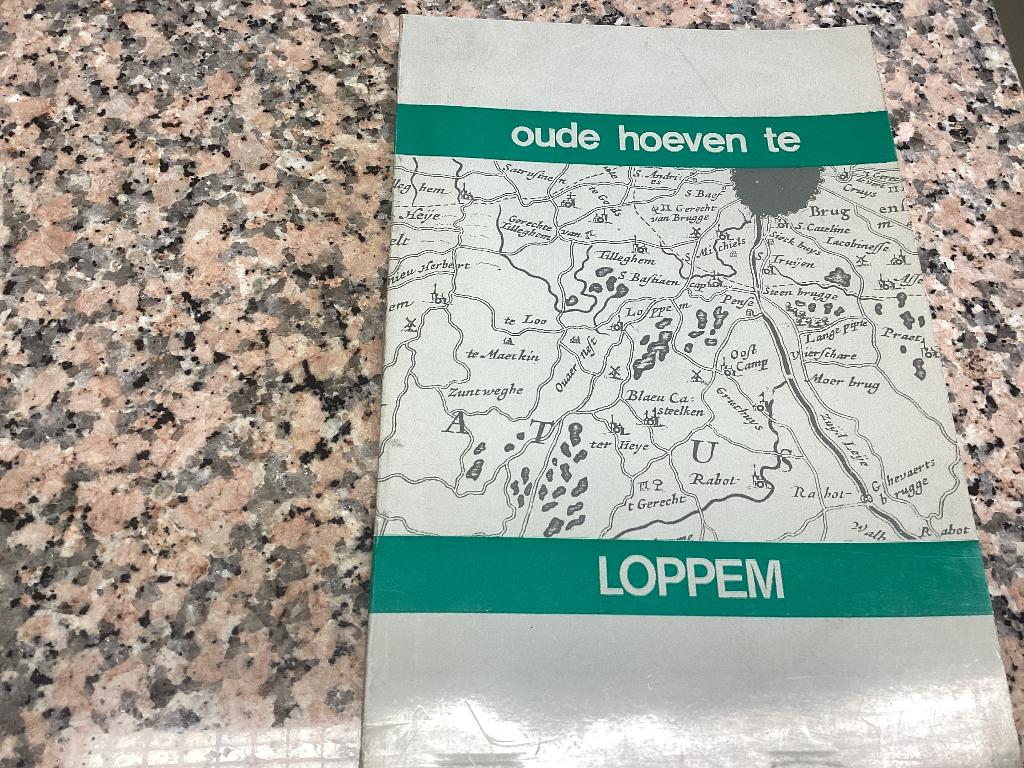 Oude hoeven te LOPPEM. Oude hoeven, herbergen en molens, Boeken, Ophalen of Verzenden, Zo goed als nieuw