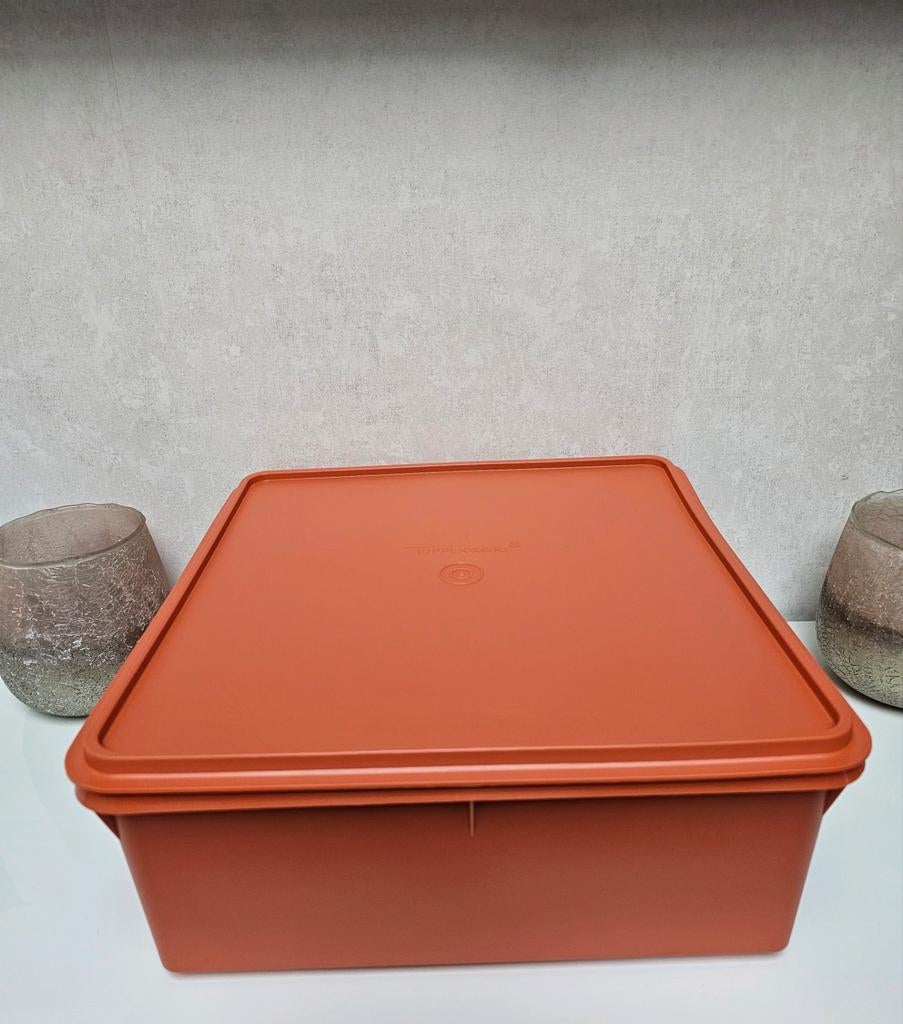 Boîte à gaufres Tupperware, Enlèvement ou Envoi, Neuf