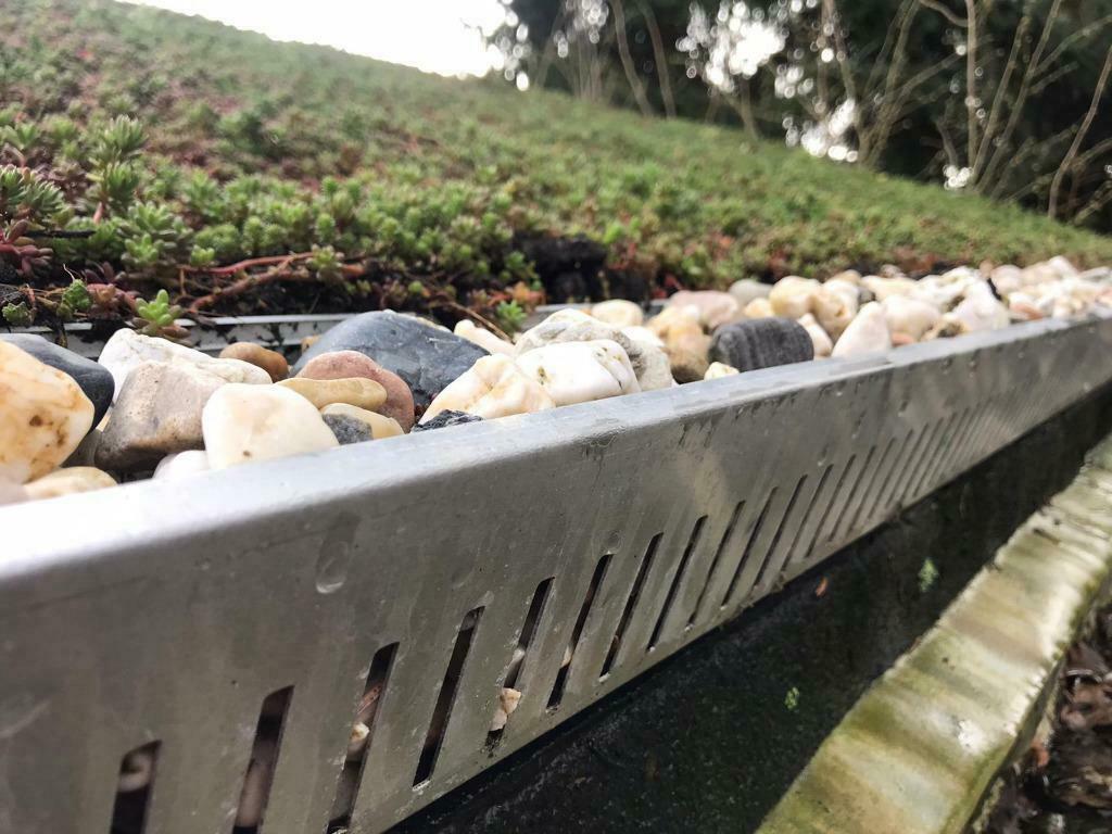 Dakprofiel voor groen dak / sedum dak, Bodembedekkers, Volle zon, Vaste plant, Ophalen of Verzenden