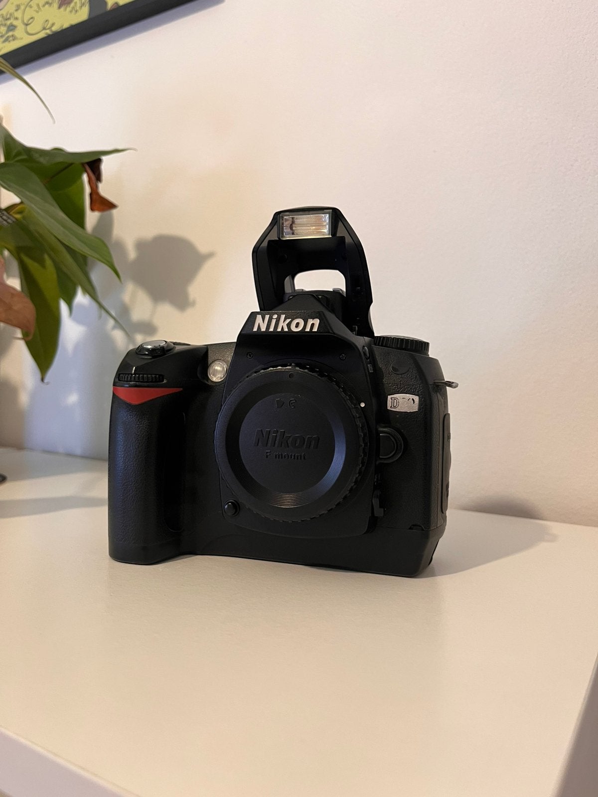 Nikon D70, Ophalen of Verzenden, Gebruikt, Accu, Nikon