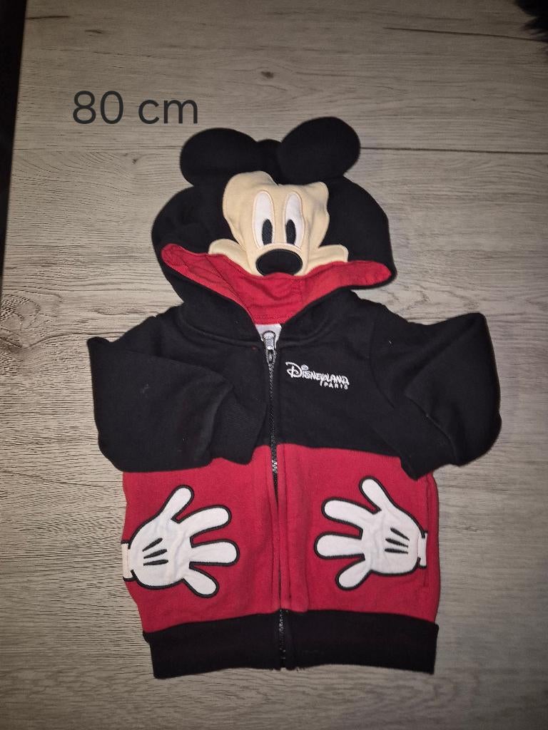 Golf micky disneyland 80, Kinderen en Baby's, Babykleding | Maat 80, Disney, Truitje of Vestje, Ophalen of Verzenden, Zo goed als nieuw