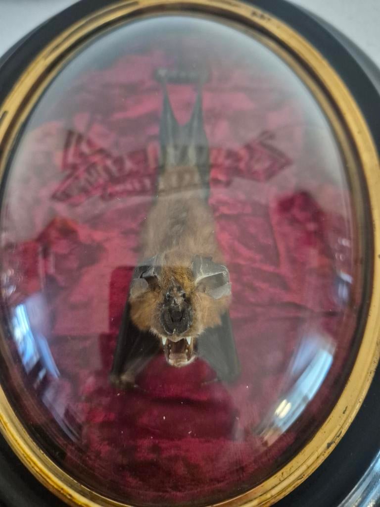 Ovale kader napoleon met vleermuisje, Antiek en Kunst, Ophalen of Verzenden