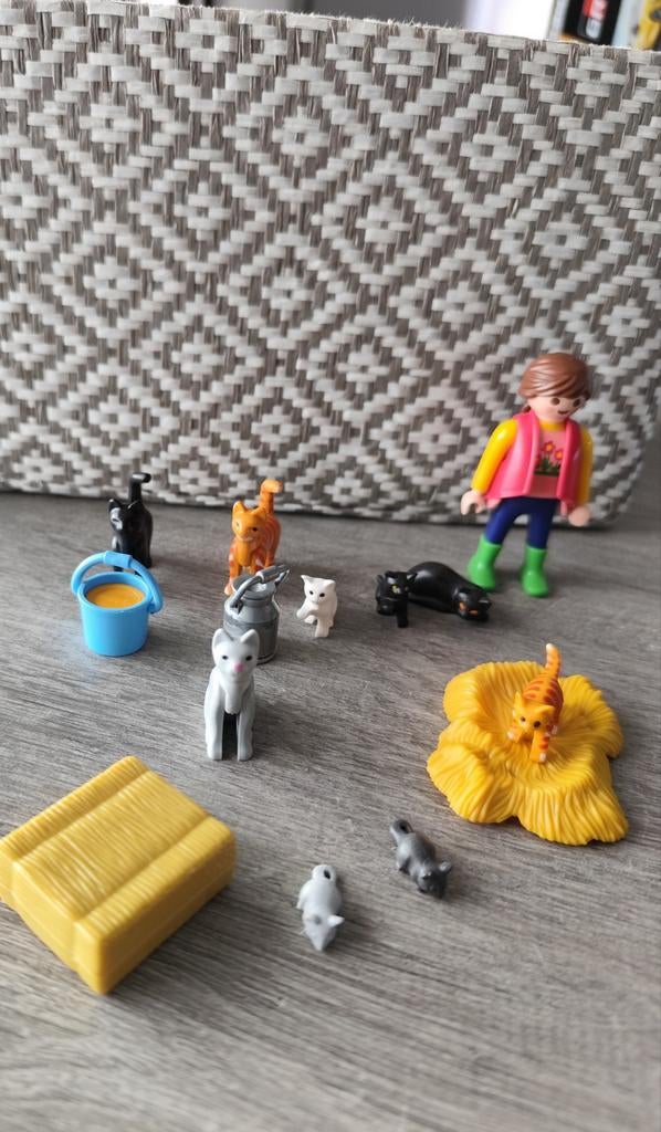Playmobil - Soigneur avec chats, Enlèvement ou Envoi