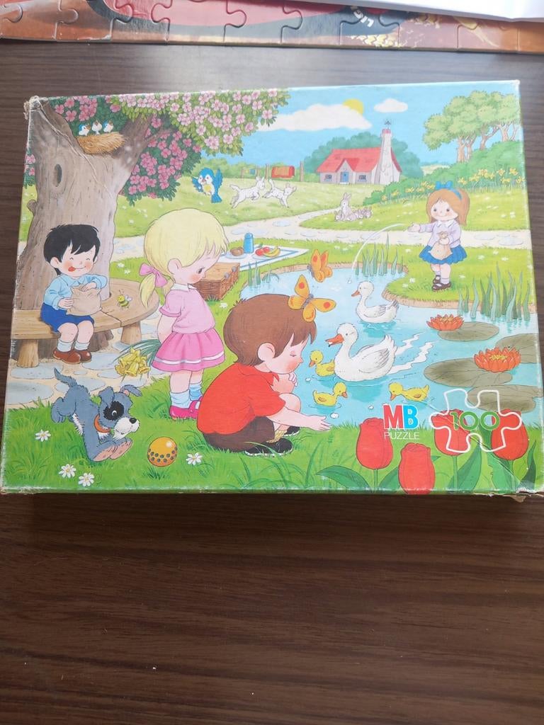 Puzzel 100.stukjes, Ophalen