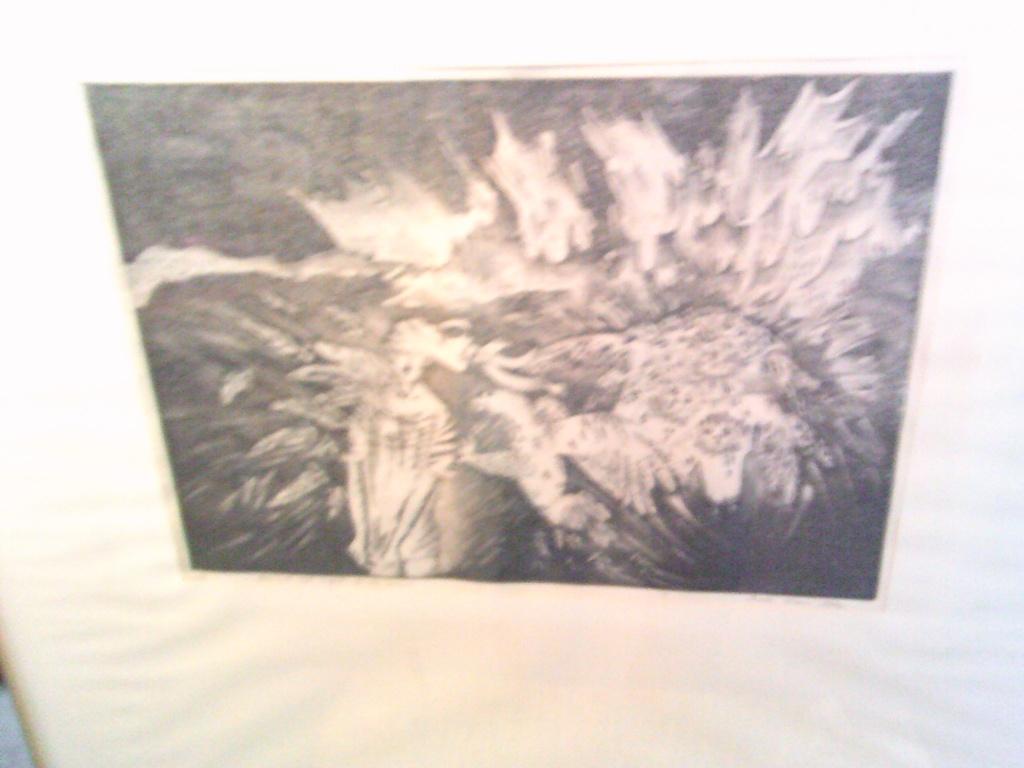 ets mieke vriens aanval van de vogels op de mens, 73 cm, Flora en Fauna, 2000 tot heden, Ophalen