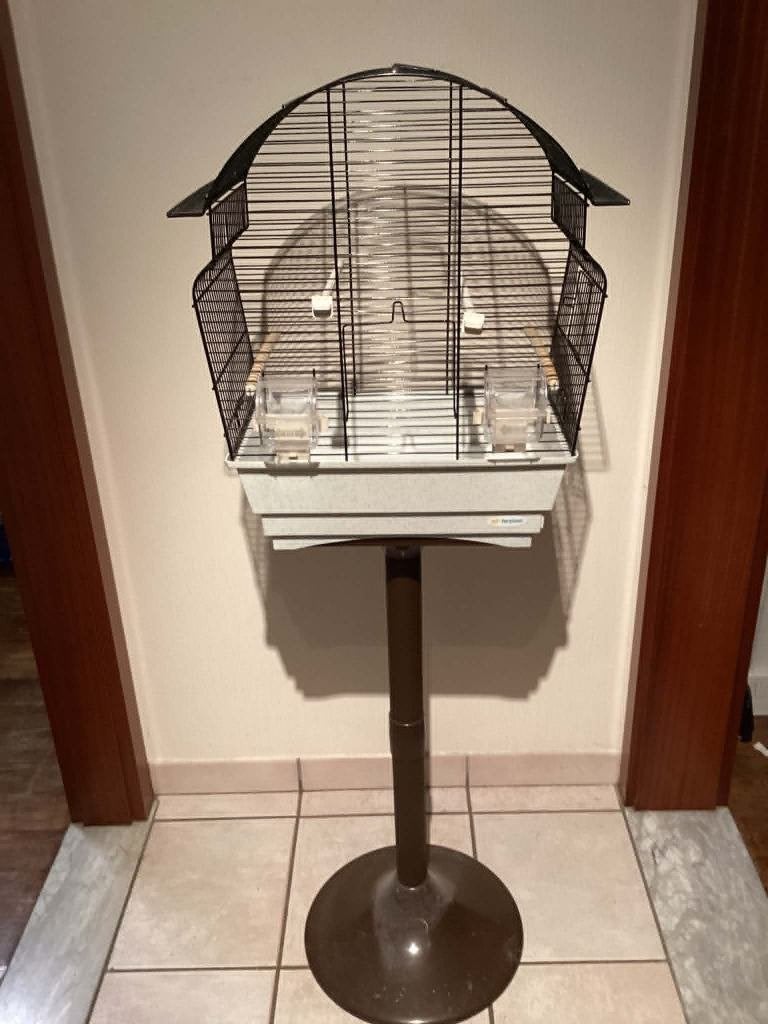 vogelkooi, Dieren en Toebehoren, Geslacht onbekend, Kleurkanarie