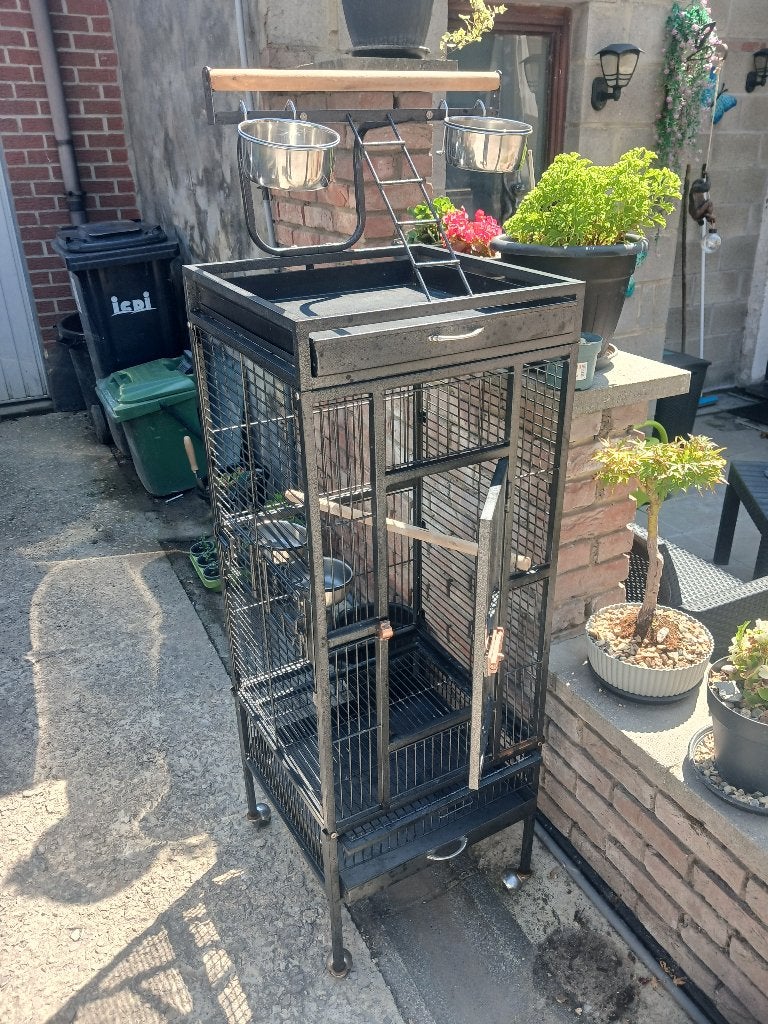 grande cage pour oiseaux, Enlèvement, Utilisé, Métal, Cage à oiseaux