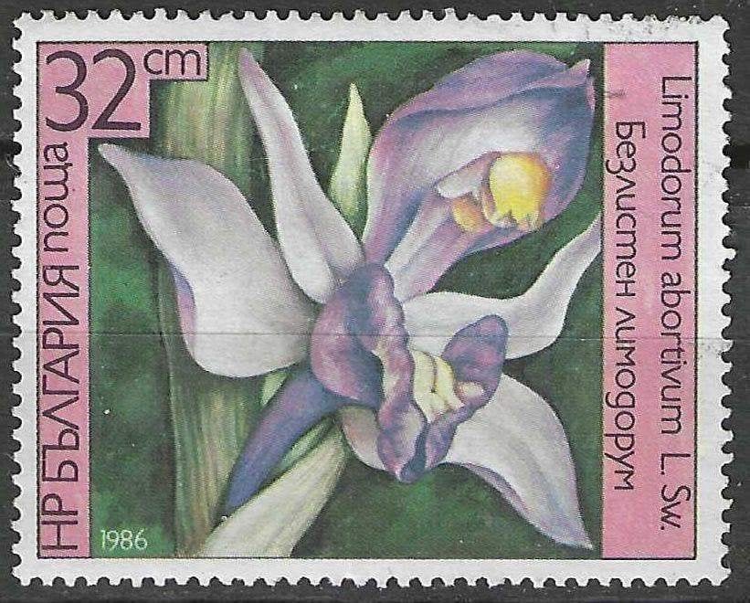 Bulgarije 1986 - Yvert 2990 - Violetlimodorum (ZG), Verzenden, Bulgarije, Postfris