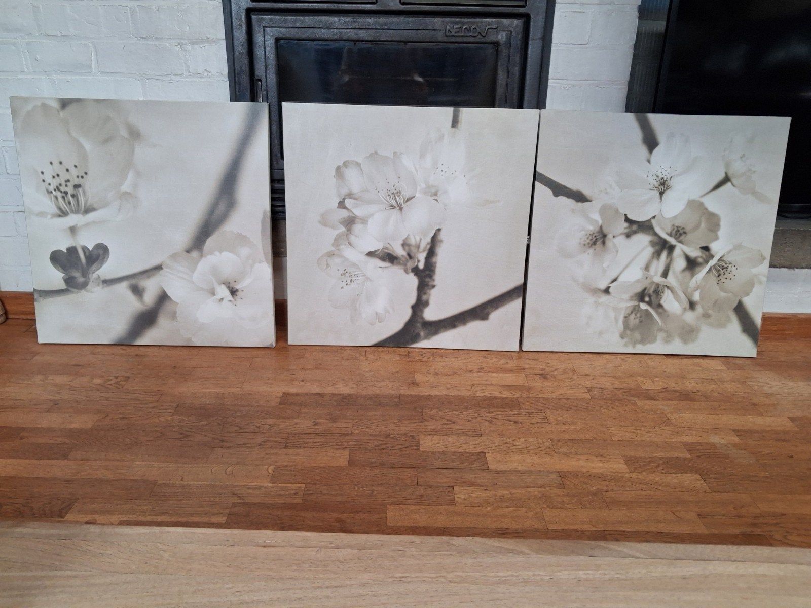 3 photos sur toile, 50 – 75, Comme neuf, 50 à 75 cm, Enlèvement