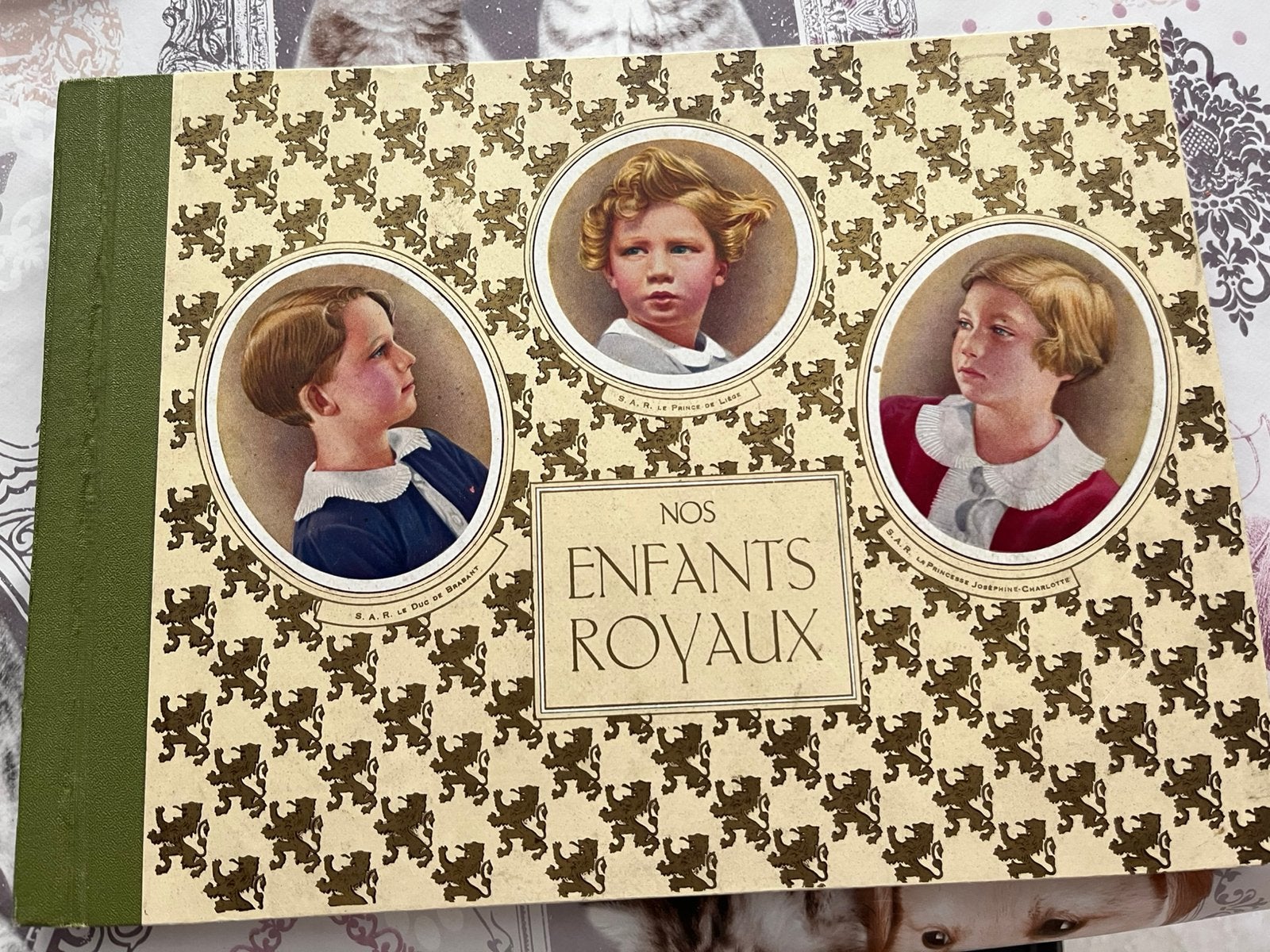 Album & chromos « Nos enfants Royaux « , Collections, Maisons royales & Noblesse, Enlèvement, Comme neuf, Carte, Photo ou Gravure