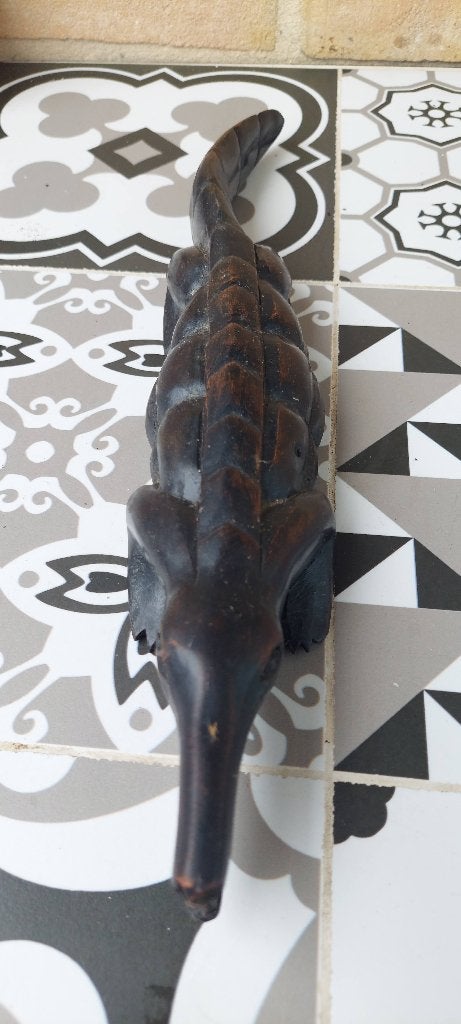 crocodile africain, Enlèvement