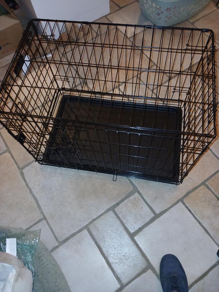 Honde  bens te koop niet gebruikt is nieuw, Dieren en Toebehoren, Ophalen