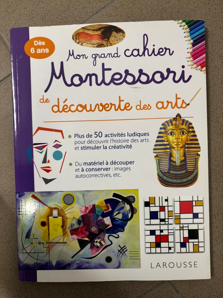 MON CAHIER MONTESSORI DE DÉCOUVERTE DES ARTS, Livres, Enlèvement ou Envoi