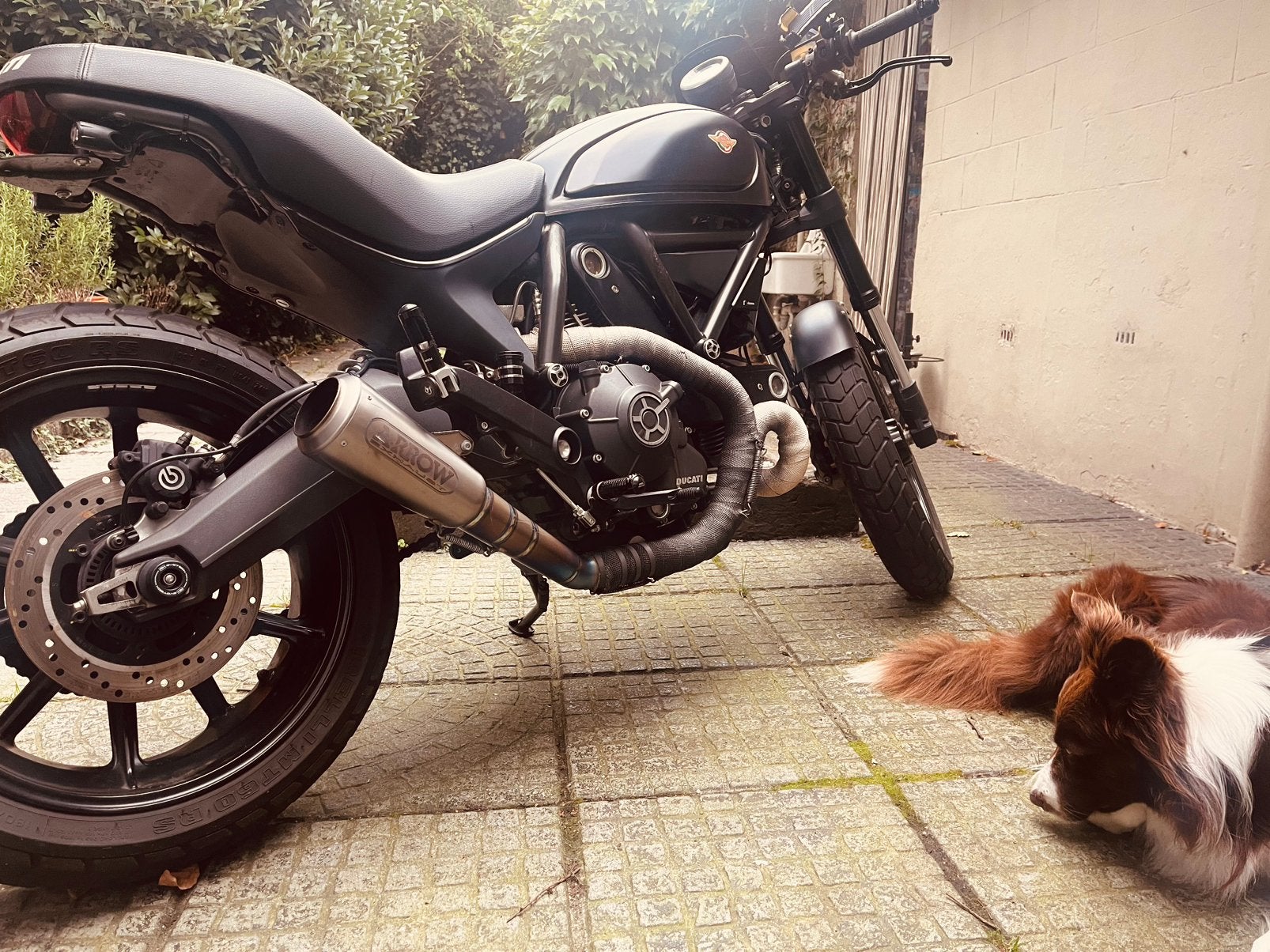 Ducati Scrambler Full Throttle, Nieuw, Motorrijbewijs A, Particulier, Meer dan 35 kW