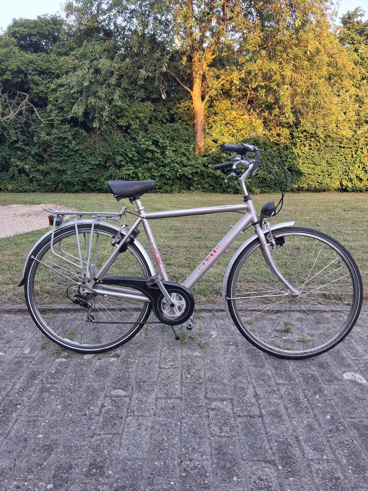 Herenfiets Prestige (Rijklaar), Fietsen en Brommers, Ophalen, Versnellingen