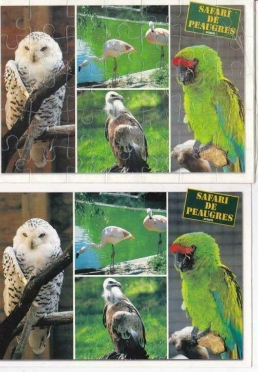 2 Franse (puzzel) ansichtkaarten vogels, uil, flamingo, Verzamelen, Ophalen of Verzenden, 1980 tot heden, Ongelopen, Vogel