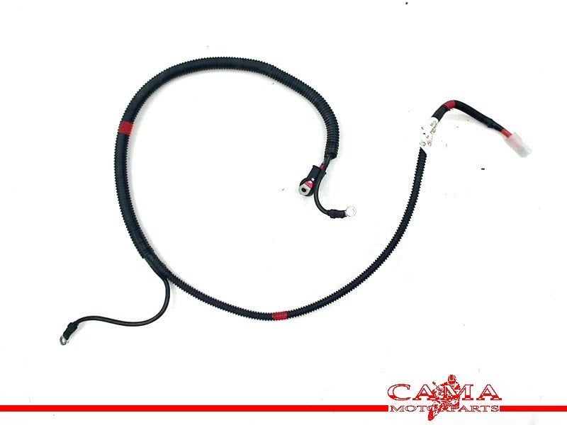 FAISCEAU DE CÂBLAGE MOTEUR Piaggio, P.J. Troelstraweg 8 8
3144 CX  MAASSLUIS, NL, Info@cama-motorparts.nl, Utilisé, Dhr. S. di Majo