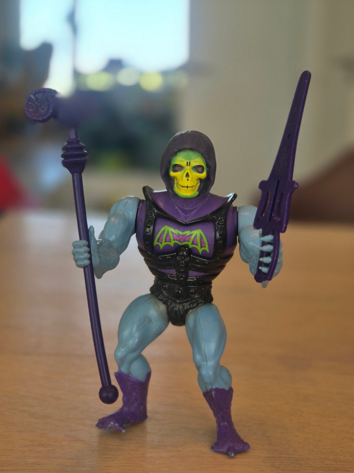 MOTU Skeletor, Enlèvement