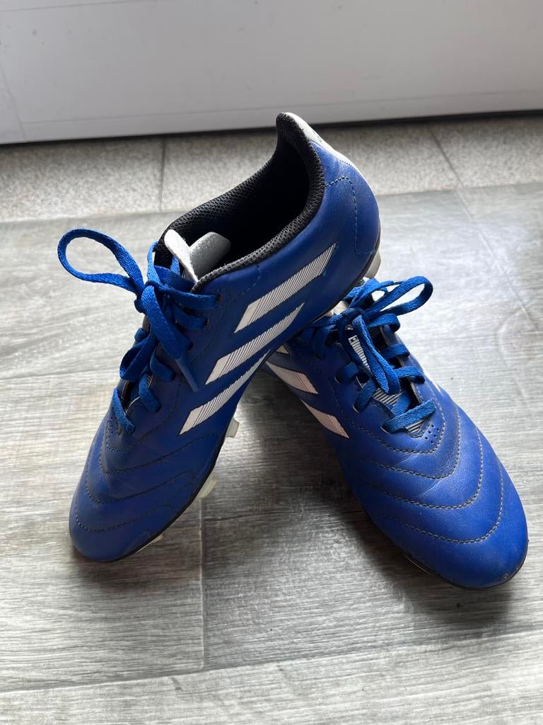 Voetbalschoenen 36,5, Sport en Fitness, Voetbal, Ophalen, Zo goed als nieuw