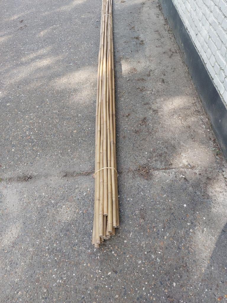 Bâtonnets de bambou d'environ 370 cm - neufs/jamais utilisés, Enlèvement