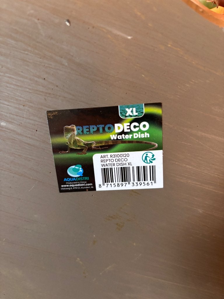 Reptodeco waterschaal XL, Enlèvement ou Envoi, Neuf, Branche, Plante, Roche ou Pierre