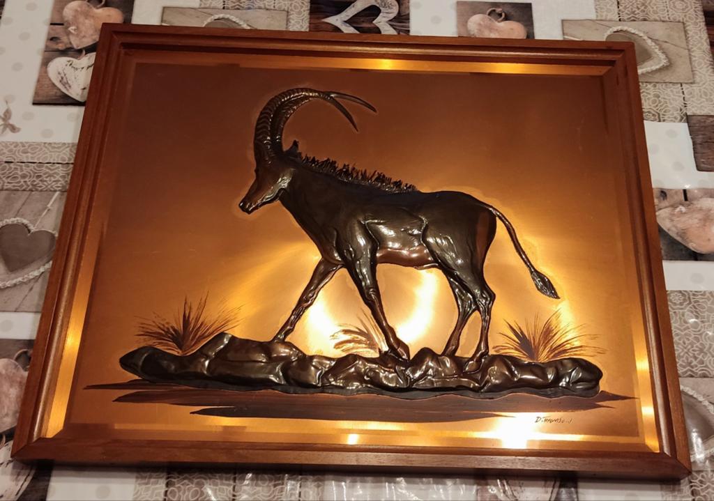 Cadre " sable Antelope " de Thomson, Enlèvement