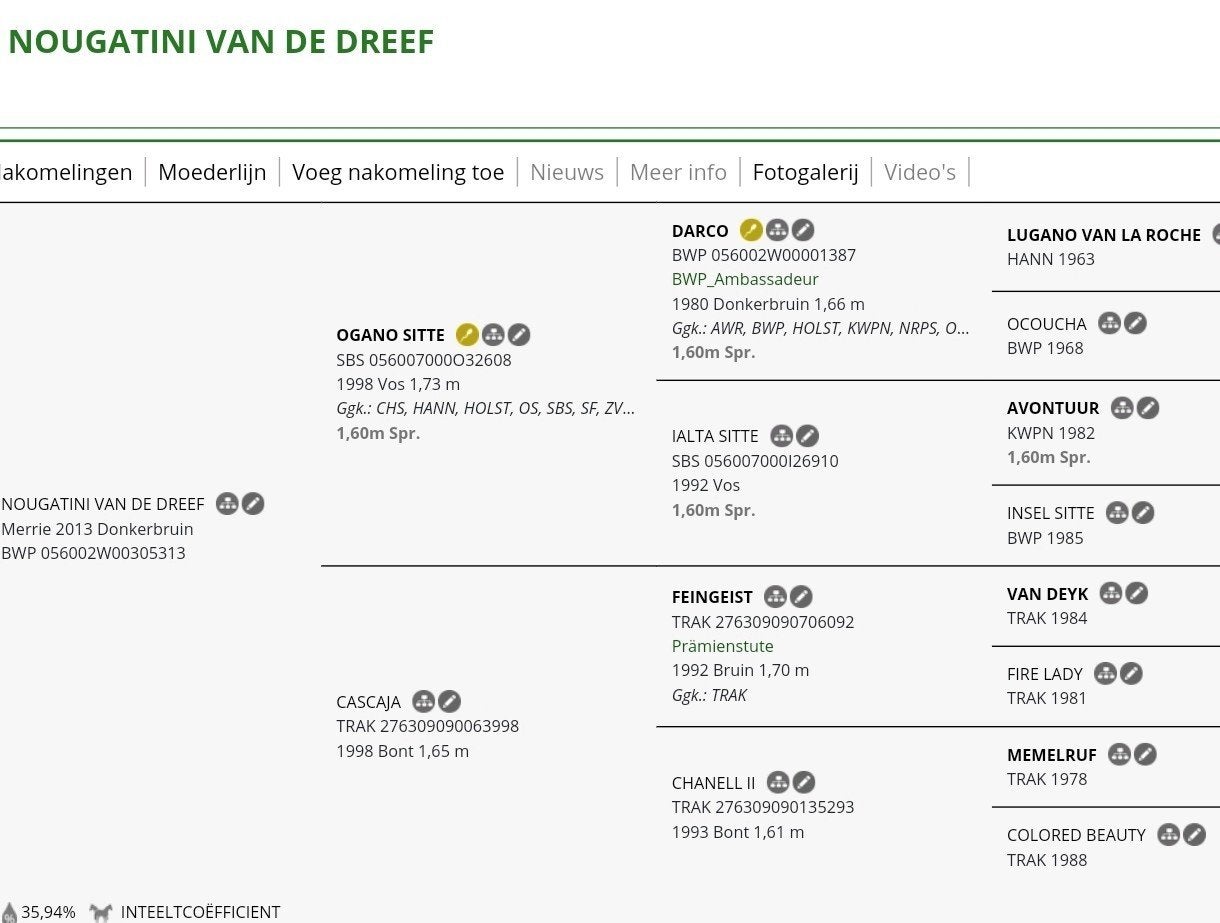 Drachtige fokmerrie, Dieren en Toebehoren