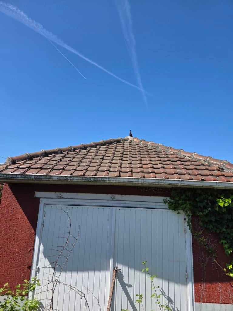 Dakpannen geglazuurd., Doe-het-zelf en Bouw, Dakpannen en Dakbedekking, Ophalen, Dakpannen