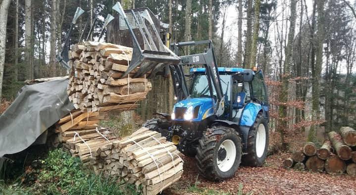 BOIS DE CHAUFFAGE TRÈS SEC - LIVRAISON IMMÉDIATE !, Hêtre