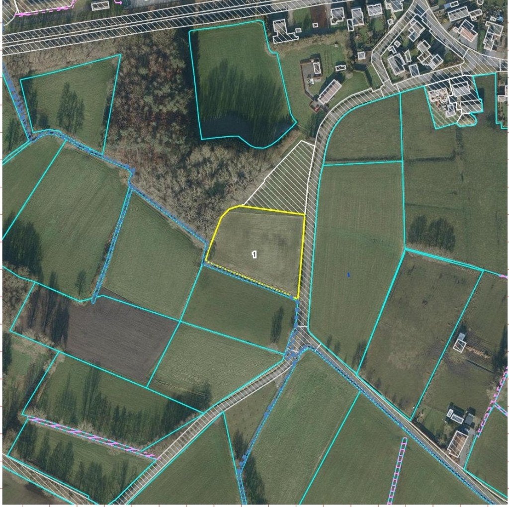 te koop landbouwgrond., Immo, Hamont Achel, Ventes sans courtier, 1500 m² ou plus