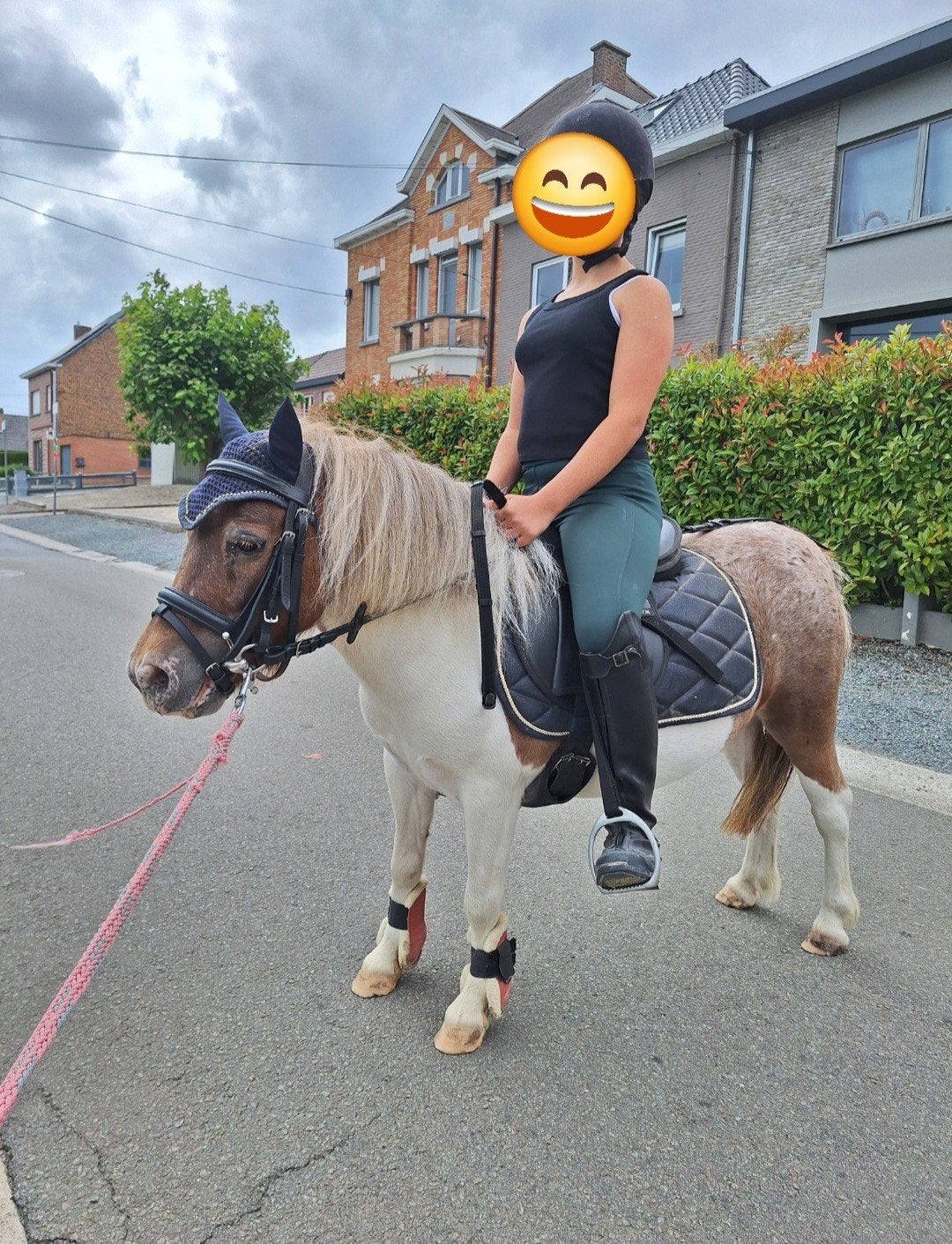 Paardrijlesjes op shetlander, Dieren en Toebehoren, Pony's, Merrie, Zadelmak, A pony (tot 1.17m), Recreatiepony, 3 tot 6 jaar
