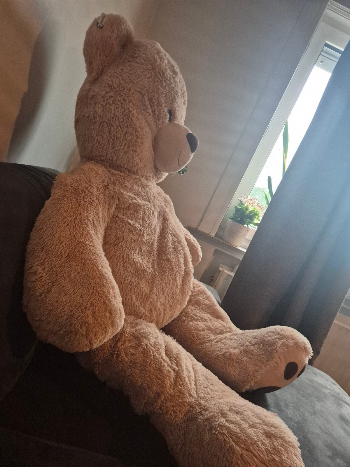 Grote teddybeer 140 cm, Ophalen, Beer, Zo goed als nieuw, Beige