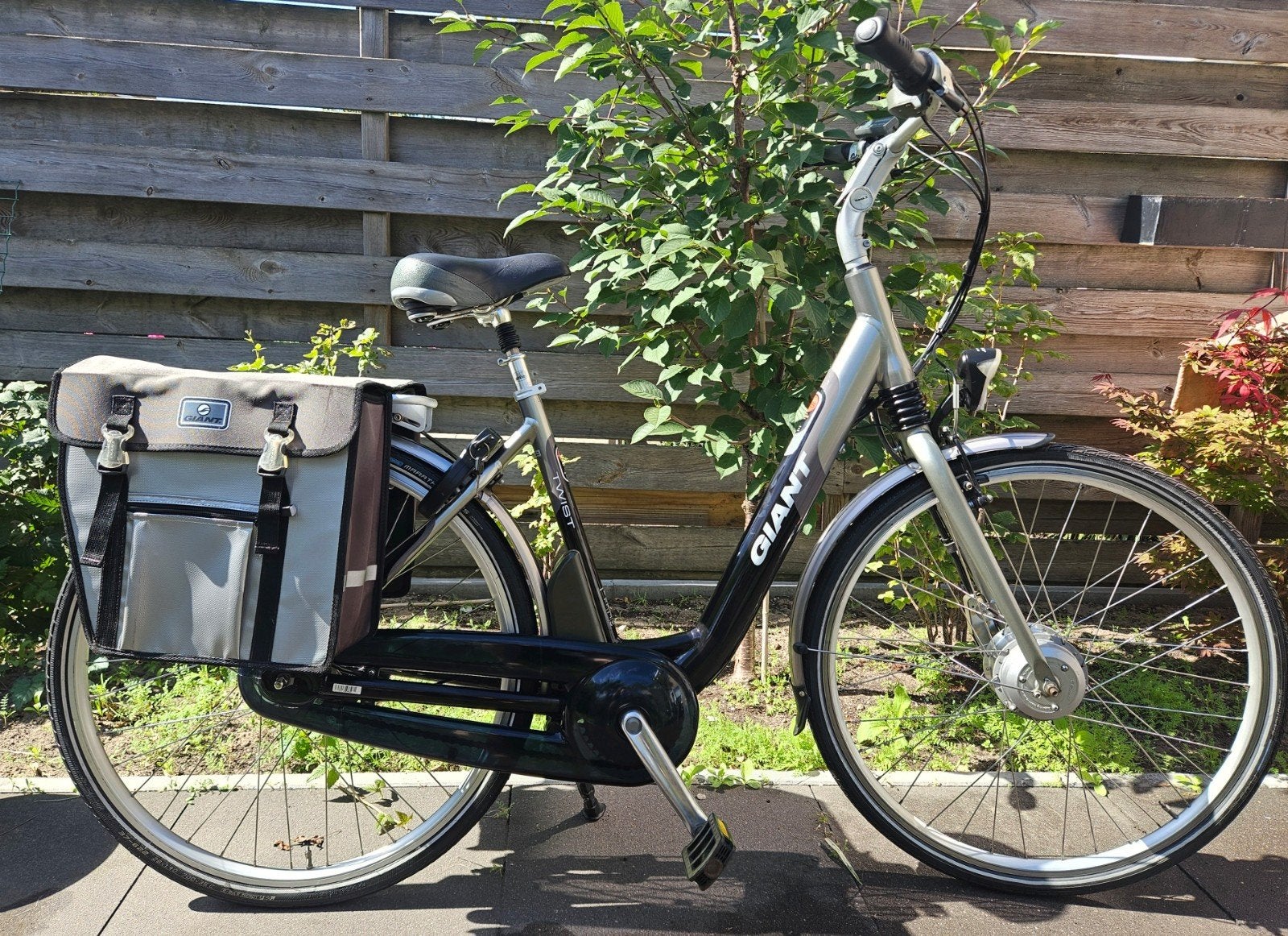 ZGAN Giant Twist Comfort elektrische Dames fiets met 2 accus, Fietsen en Brommers, Ophalen, Giant, Zo goed als nieuw, 47 tot 51 cm