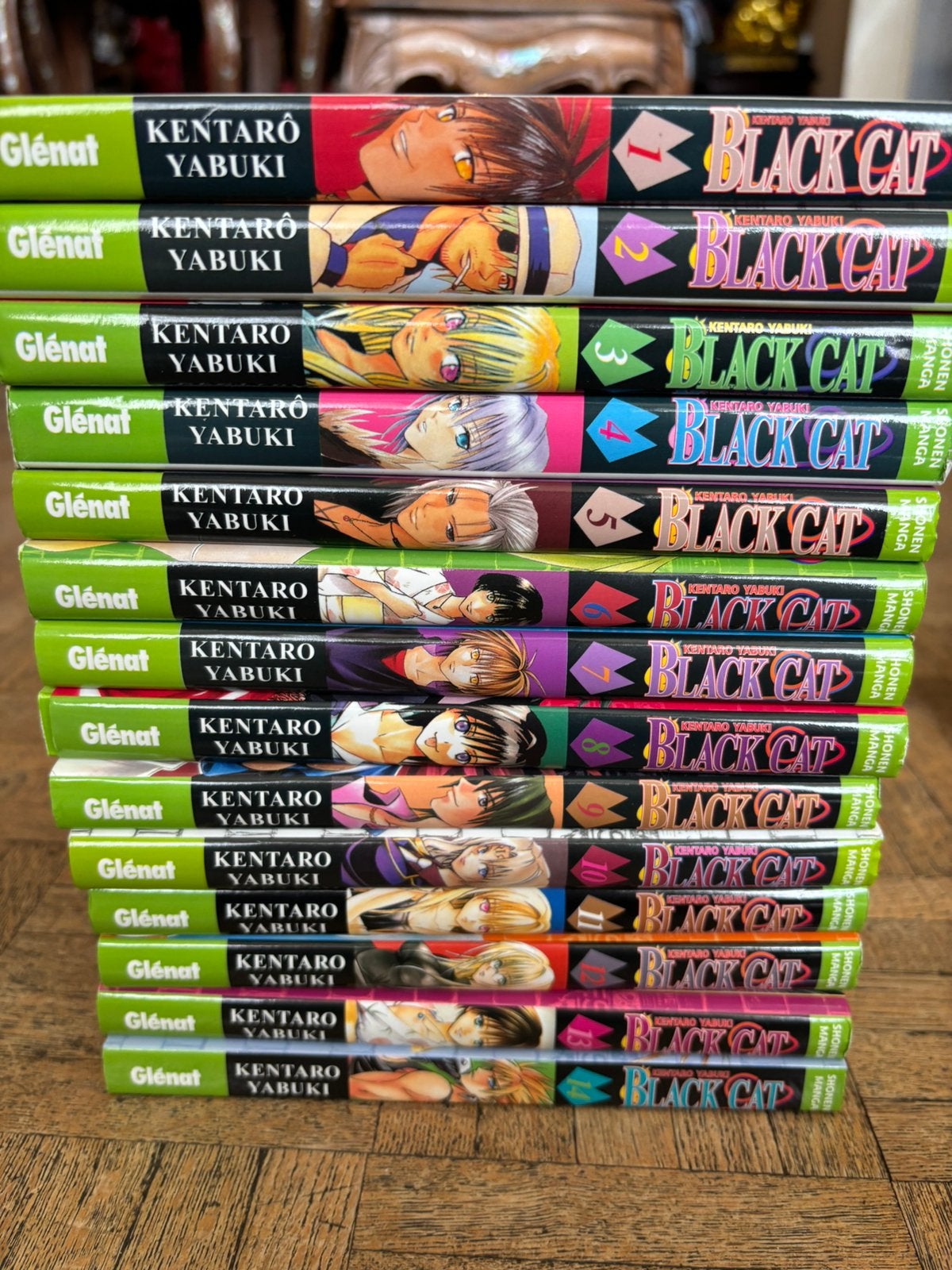 Manga black cat 1-14, Livres, BD, Comme neuf, Enlèvement ou Envoi