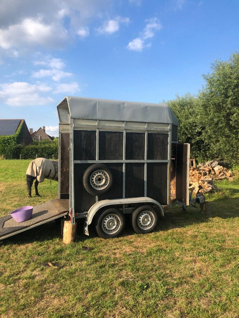 trailer te huur/ te koop Mechelen, Heffen, Dieren en Toebehoren, Paarden en Pony's | Trailers en Aanhangwagens, Gebruikt, 1½-paards trailer