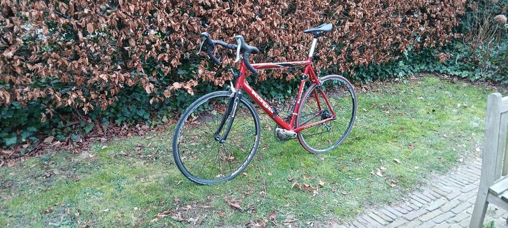 Koga miyata gentslux 58 koersfiets, Aluminium, 57 à 61 cm, Enlèvement, Utilisé