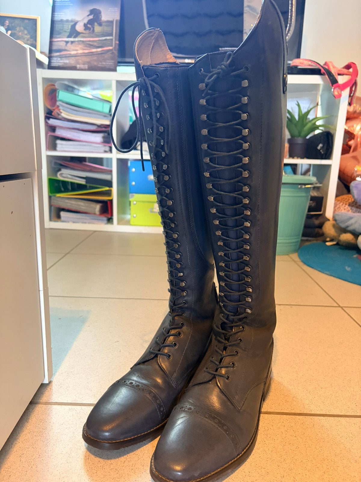Busse Laval Dressuur laarzen, Animaux & Accessoires, Chevaux & Poneys | Autres trucs de cheval, Enlèvement ou Envoi, Dressage