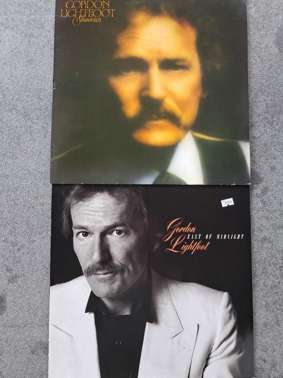 2 lp's Gordon Lightfoot, LP, Gebruikt, Pop, 12 inch