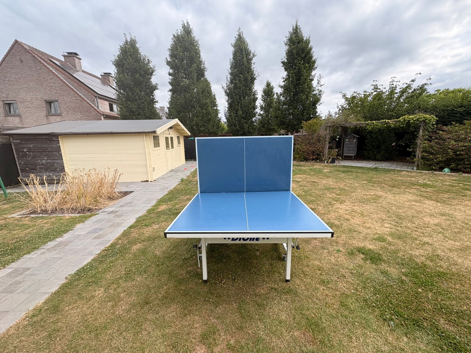 Opvouwbare tafeltennistafel met playbackfunctie, Sport en Fitness, Tafeltennis, Gebruikt, Tafel Outdoor, Verrijdbaar, Ophalen