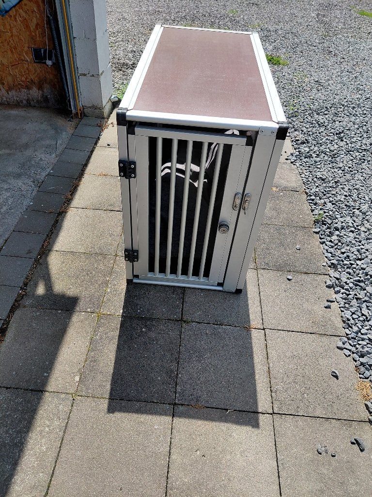 Honden transportbox, Dieren en Toebehoren, Ophalen, Gebruikt